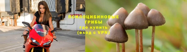 MDMA Premium VHQ Алзамай