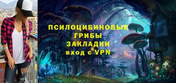 метадон Алексин