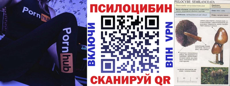 KRAKEN ссылки  Стародуб  Галлюциногенные грибы прущие грибы 